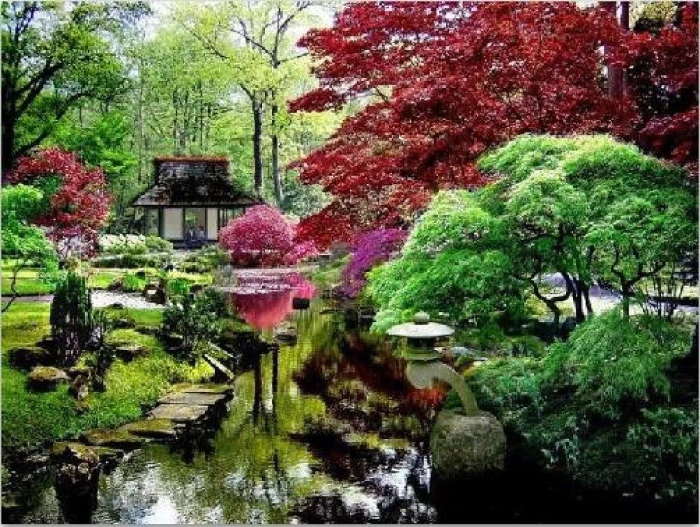 jardin japones | Cuidar de tus plantas es facilisimo.