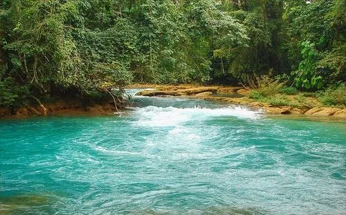 El Jardín de Judith: ¡AGUA VIVA! SALUD PARA EL CUERPO Y EL ALMA.