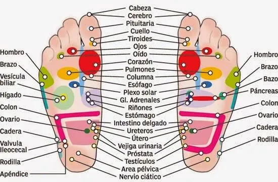 El Jardín de Judith: Earthing: El comprobado poder curativo de ...