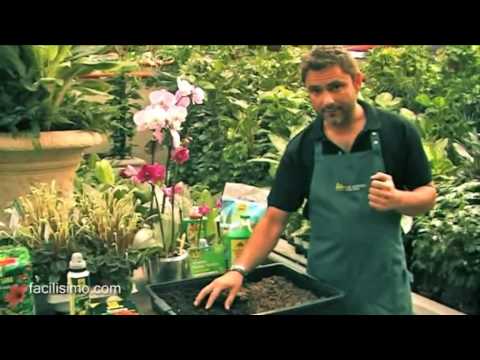 Jardinería fácil: Sustrato de turba, fibra de coco y corteza - YouTube