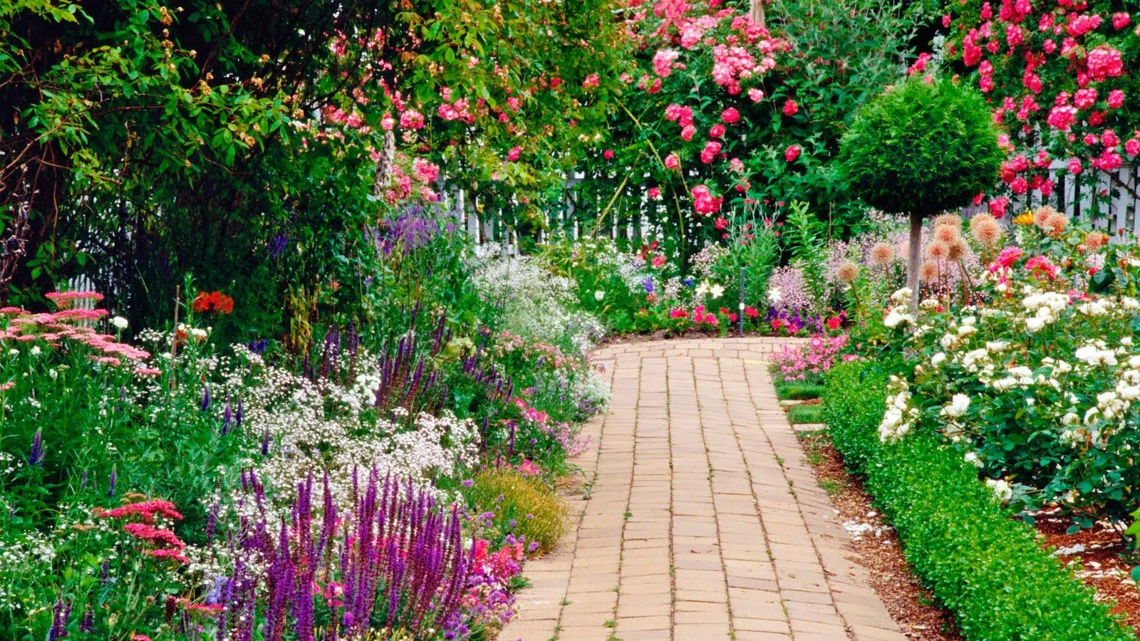 Jardines y flores (5 fotos para compartir en Facebook) 