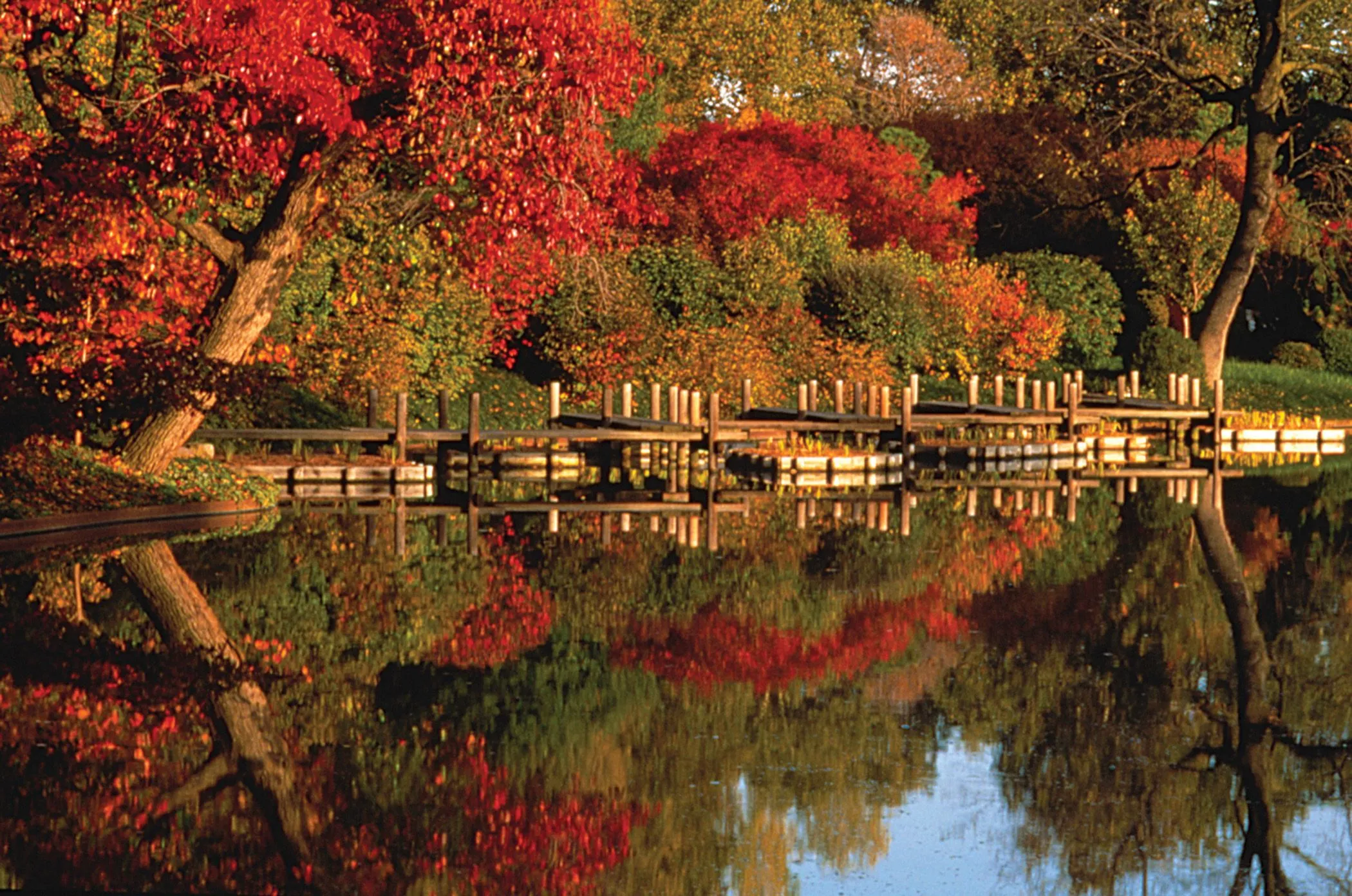 Jardines Japoneses - Taringa!