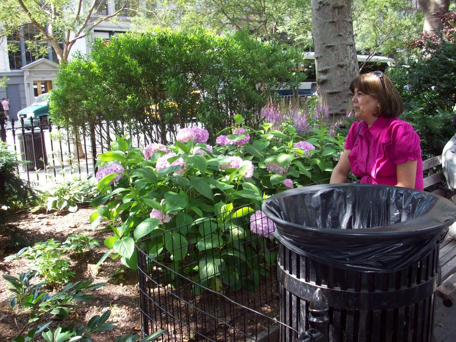 Jardines: Jardines bonitos