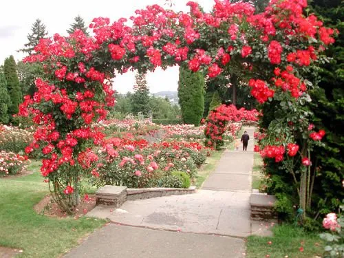 Jardines de rosas - Imagui