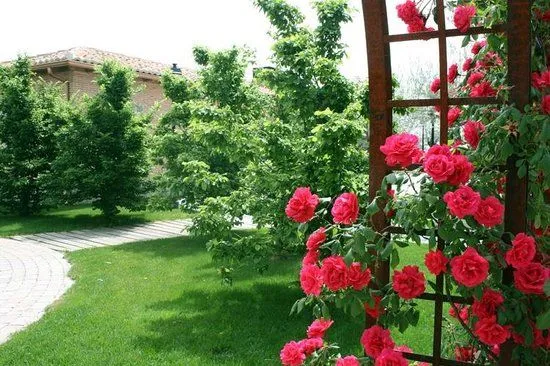 jardines con rosas - Picture of El Zaguan, Carranque - TripAdvisor