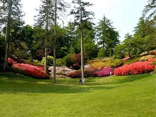  ... Jardines Valley, el lago Virginia Water y el Jardín Savill. De este