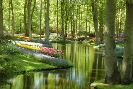 Paisajes Jardines Hermosos