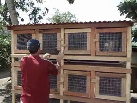 Como hacer una jaula para gallos - Imagui