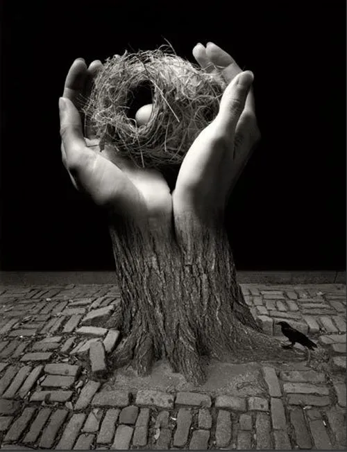 Jerry Uelsmann | MaullArte