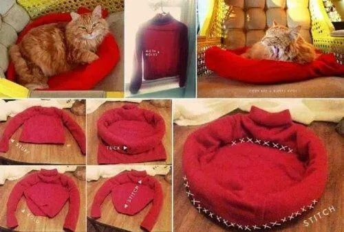 ropa para gatos | Cuidar de tu gato es facilisimo.