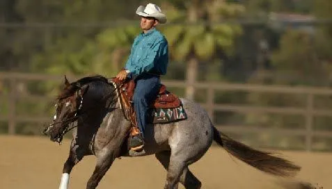 JINETE Y CABALLO: REINING, Habilidad Atlética del Jinete y Caballo