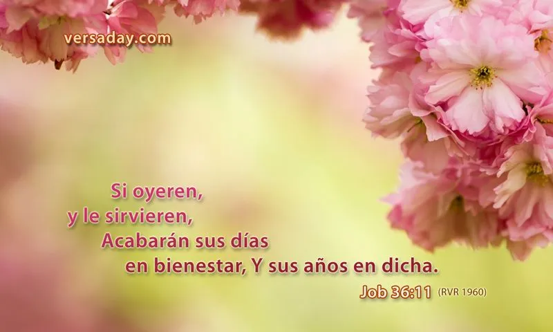 Job 36:11 - Versiculo para Agosto 22