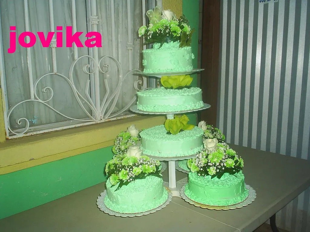 jovika un deleite atu paladar: pastel de quinceañera