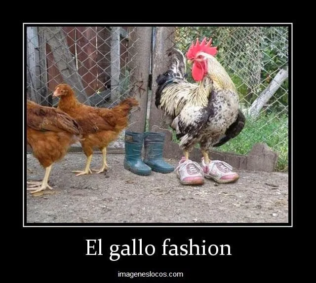 juan rivera - About - Google+