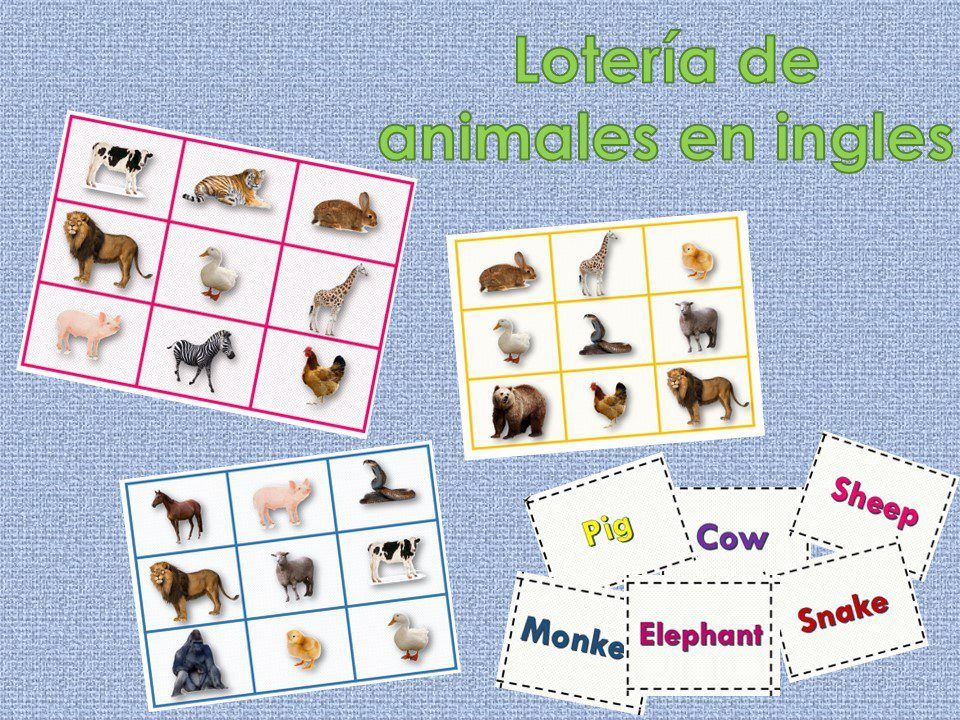 Juego Loteria De Animales en Ingles Didactica (PARA IMPRIMIR)