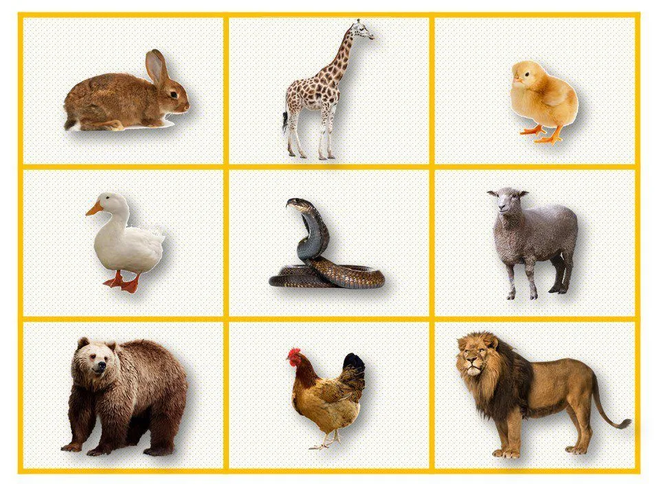 Juego Loteria De Animales en Ingles Didactica (PARA IMPRIMIR)