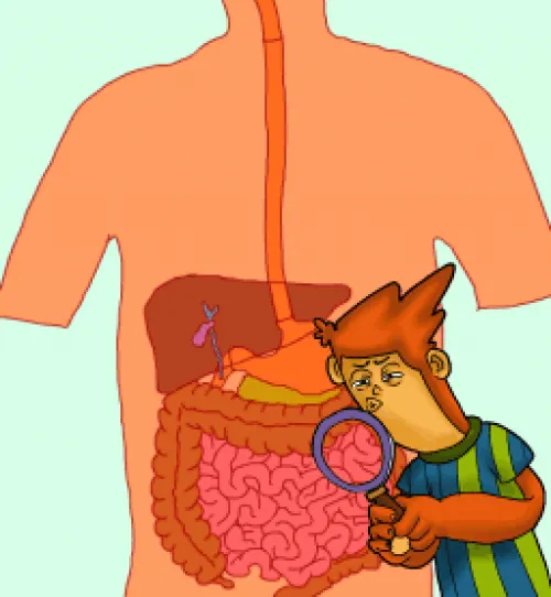 JUEGO DE LAS PARTES DEL APARATO DIGESTIVO | JUGANDO Y APRENDIENDO