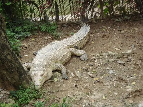 Juego: regalame una imagen. - Página 62