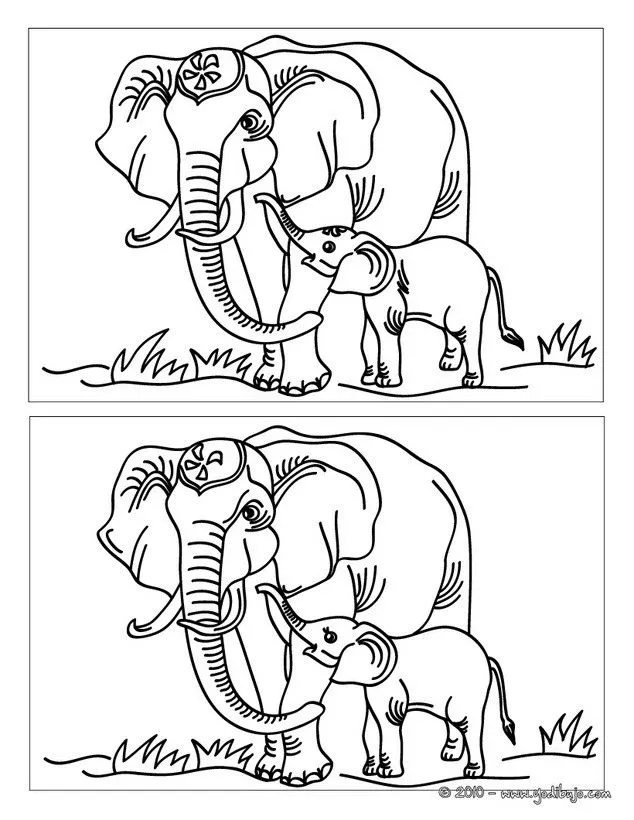 Juegos de buscar diferencias ANIMALES - ELEFANTE CON SU CRIA busca ...