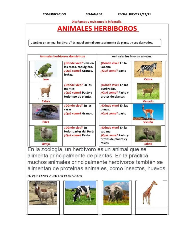 4 Jueves Sem34 09-12 | PDF | Comida y bebida | Organismos