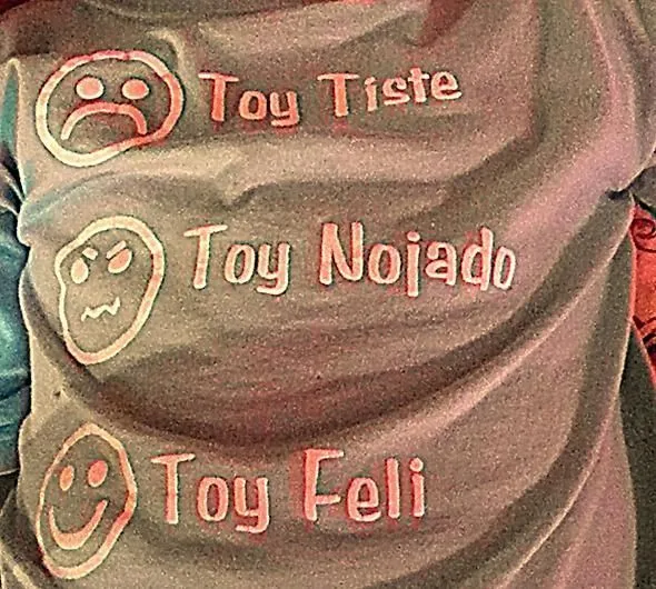 Jungla rellena de frutas. — Remera “Toy triste, toy enojado, toy ...