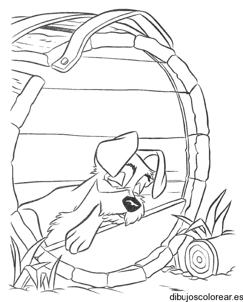 Dibujo de un perro durmiendo en barril | Dibujos para Colorear