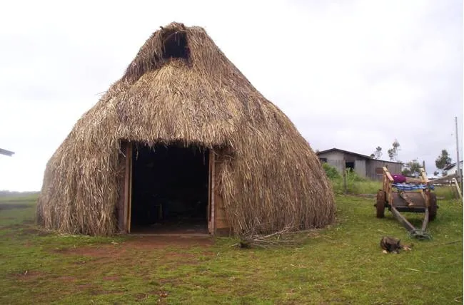 Juntos por la Pachamama: El ambiente Mapuche