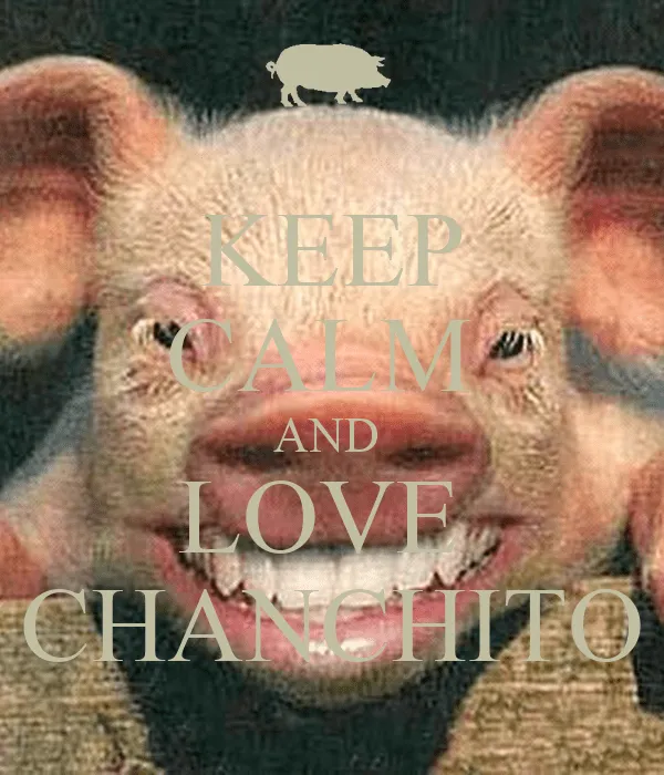 KEEP CALM AND LOVE CHANCHITO - KEEP CALM AND CARRY ON Image Generator