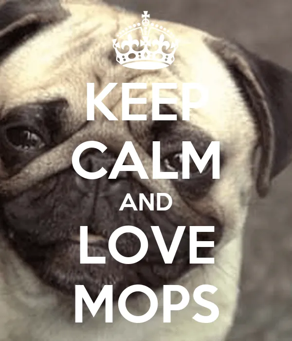 KEEP CALM AND LOVE MOPS - KEEP CALM AND CARRY ON Image Generator