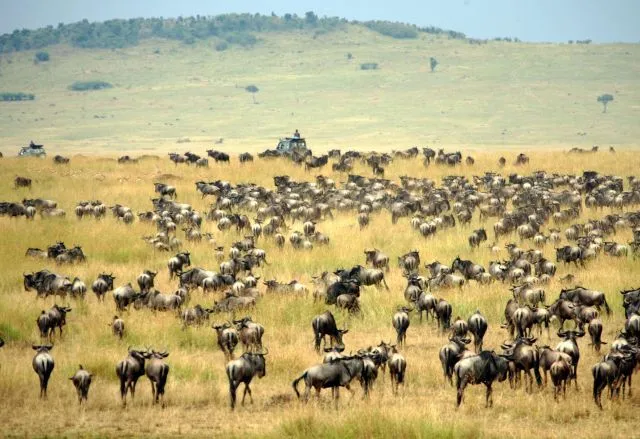 Kenia, un país de contrastes | Qué.es