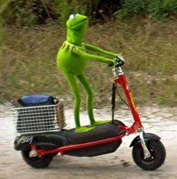 kermit-scooter-rana-gustavo