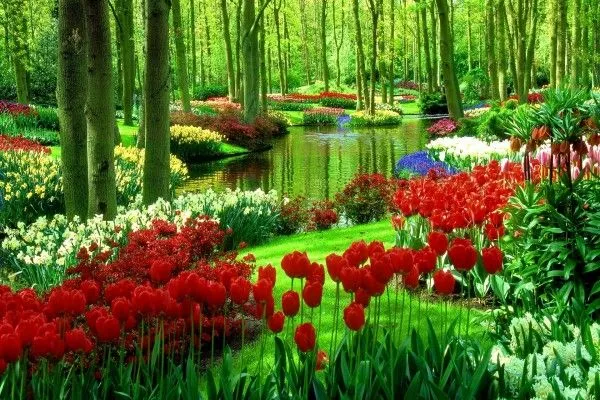 Keukenhof, también conocido como el jardín de Europa (Lisse ...