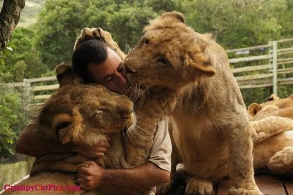 Kevin Richardson y su relación con los leones - Revista digital ...