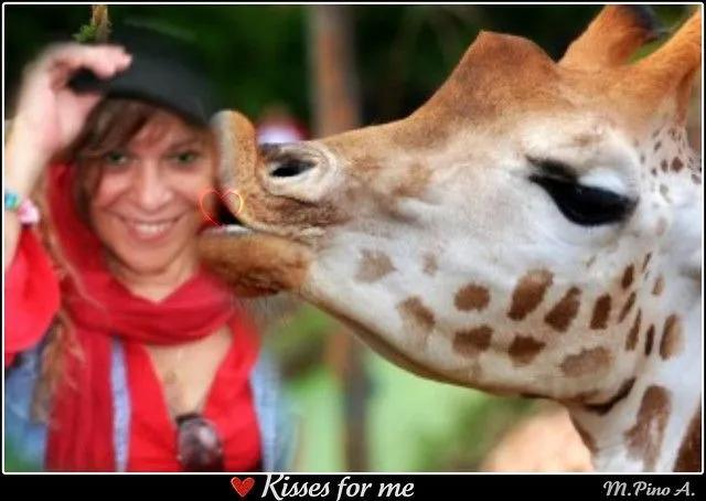 Kisses for me! Besos para ti! | Flickr - Photo Sharing!