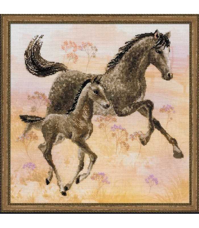 KIT PUNTO CRUZ RIOLIS CABALLOS DE PASEO 38x38 CM