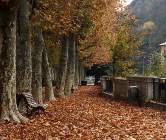 L'esclat de la tardor, en imatges | Nació Digital