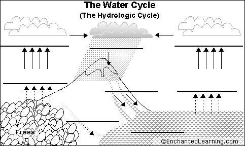 Label Water Cycle Printout - EnchantedLearning.com