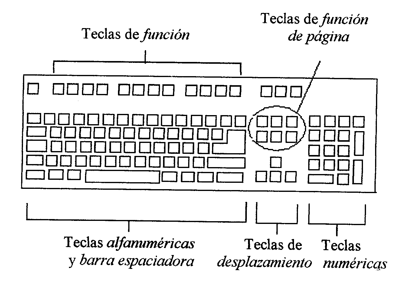 Laboratorio de Computación: Conociendo las partes del Teclados