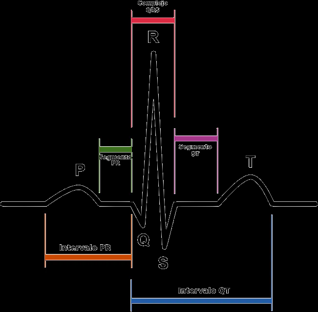 Laboratorio de Fisiología - Fisiología Animal