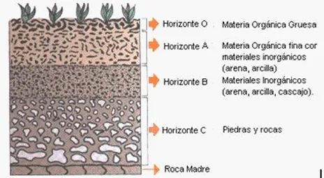 El Laboratorio del Químico: El Suelo: Caracteristicas y Tipos de ...