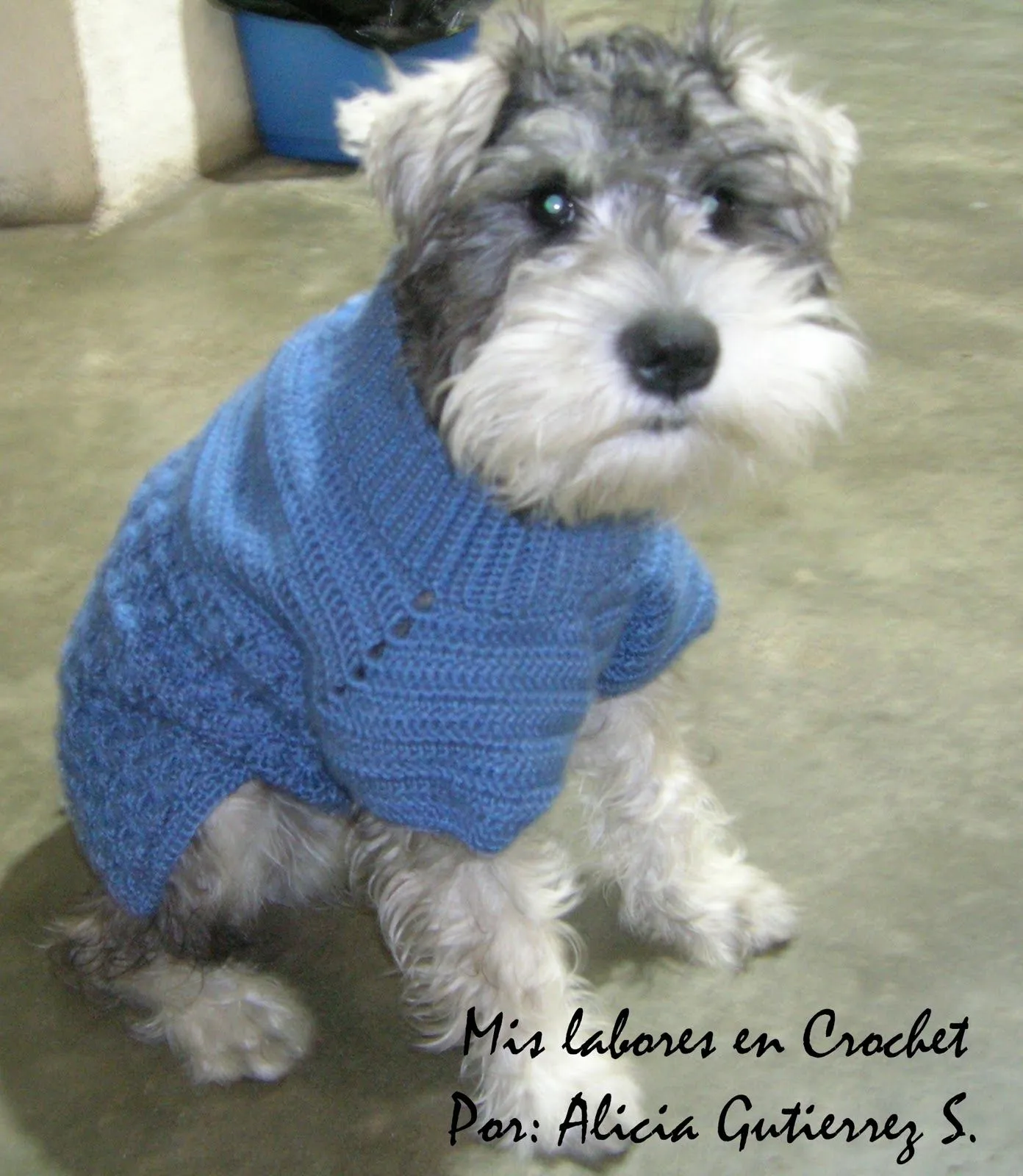 Mis labores en Crochet: Paso a paso del suéter para mascotas.