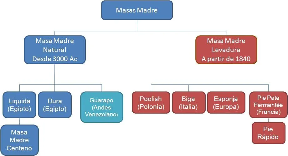 LaChefPanadera: La Familia de las Masas Madres