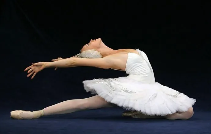 El Lago de los Cisnes: Imagenes de Ballet / Swan Lake Images ...