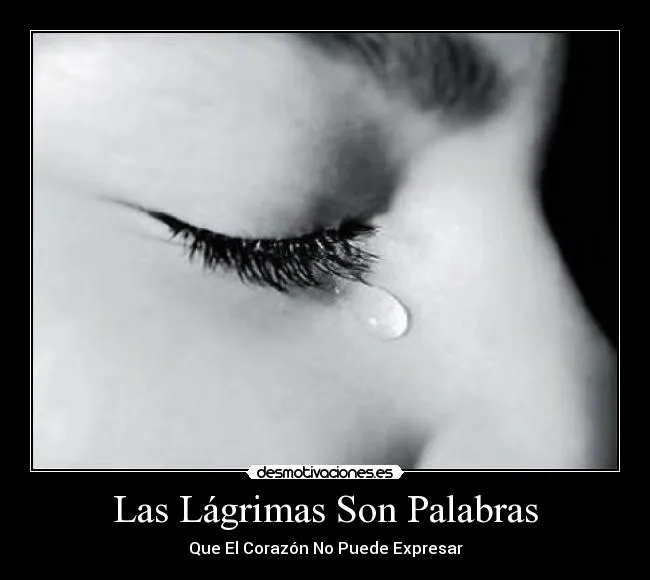 Las Lágrimas Son Palabras | Desmotivaciones