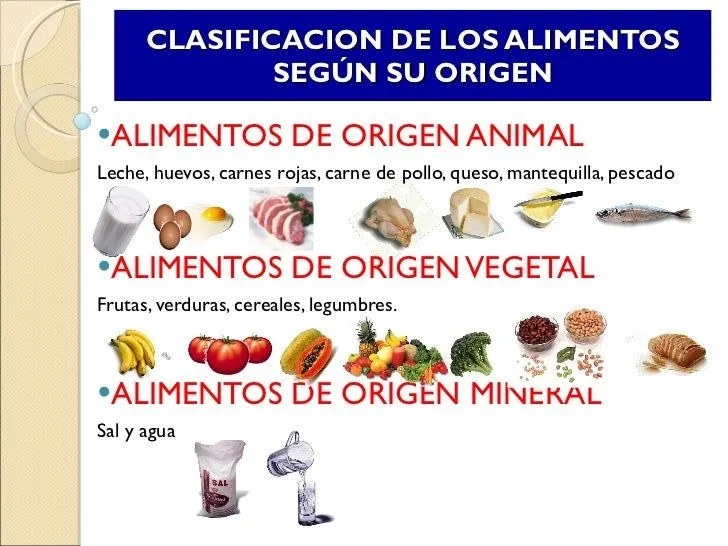 Lamina de alimentos de origen animal - Imagui