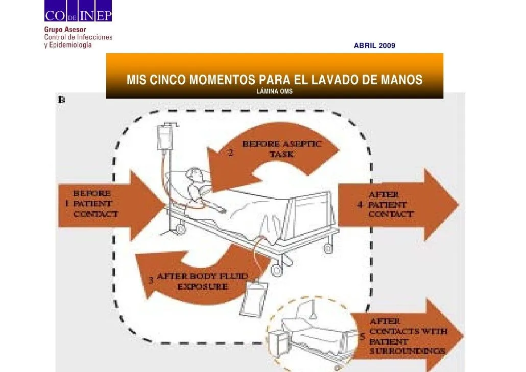 Lamina explicacion oms cinco momentos lavado de manos