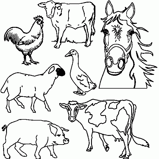 Láminas para Colorear - Coloring Pages: Animales de Granja para ...