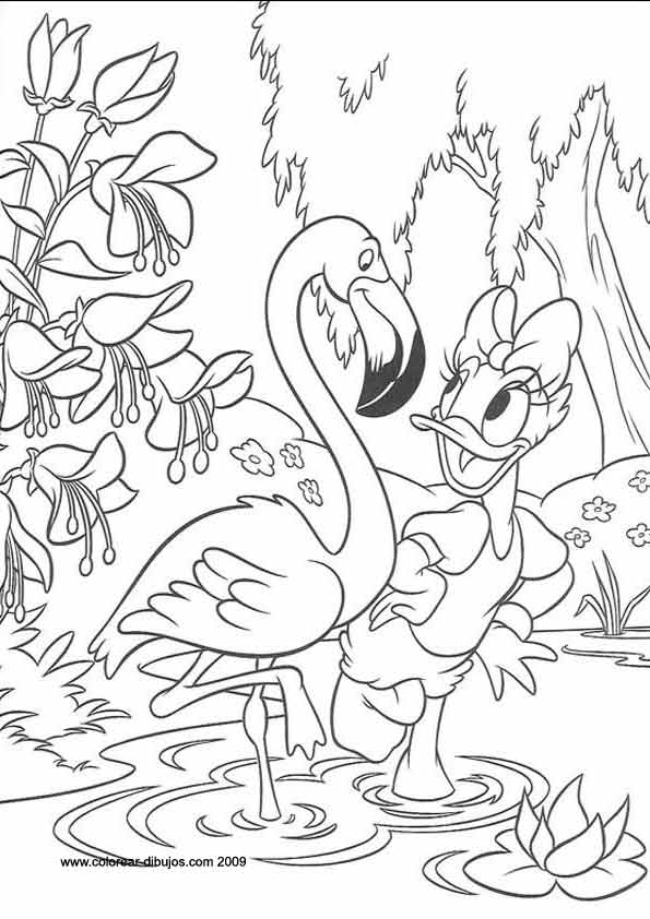 LAMINAS PARA COLOREAR - COLORING PAGES: Daisy (La Pata Daisy) para ...