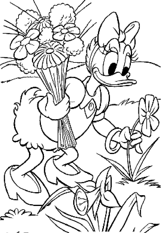 Láminas para Colorear - Coloring Pages: Daisy (La Pata Daisy) para ...