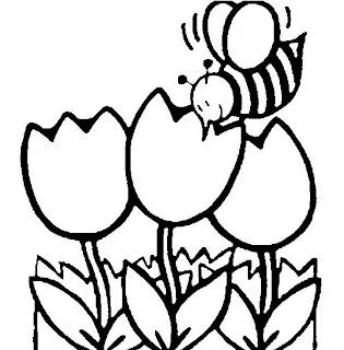 LAMINAS PARA COLOREAR - COLORING PAGES: Preescolar y Jardin de ...